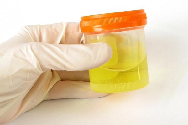 Synthetic Urine Leg Strap Atlanta GA 30389